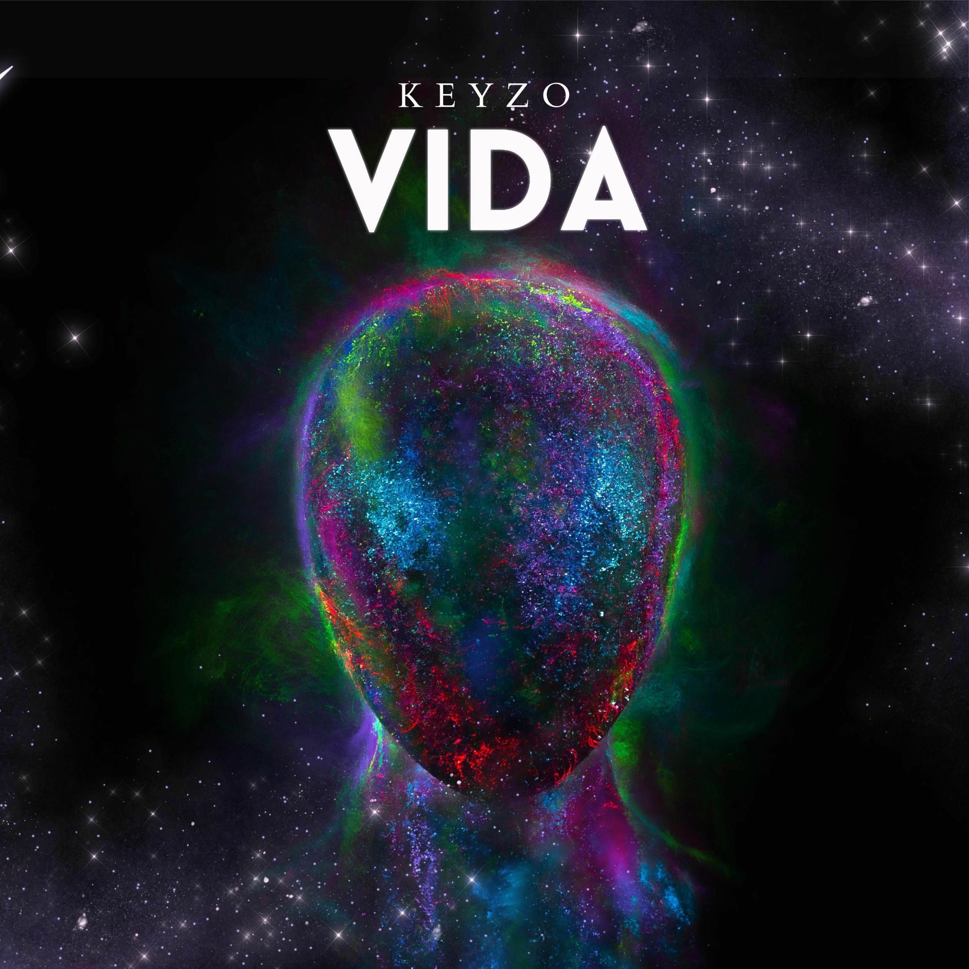 Album cover of VIDA