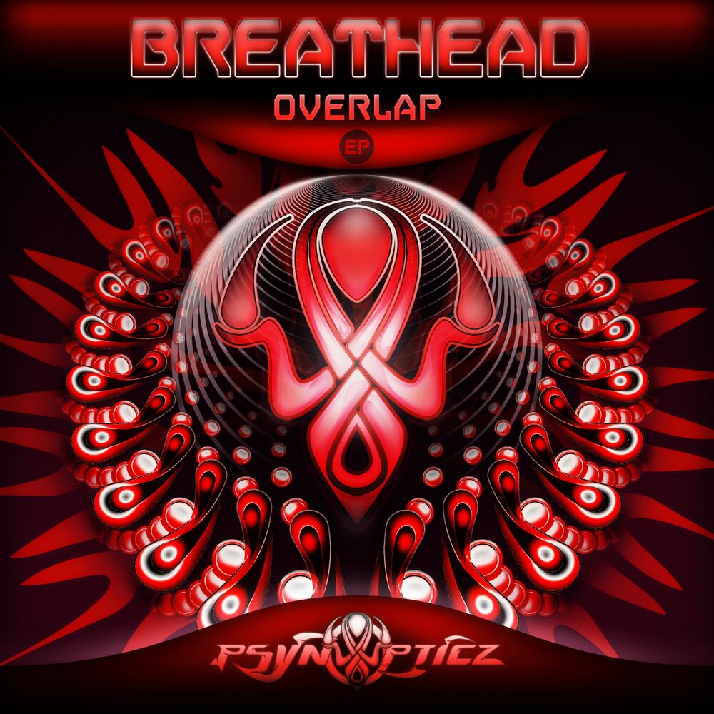 Picture of Overlap