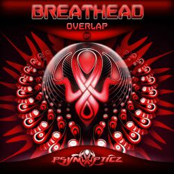 Cover of Overlap
