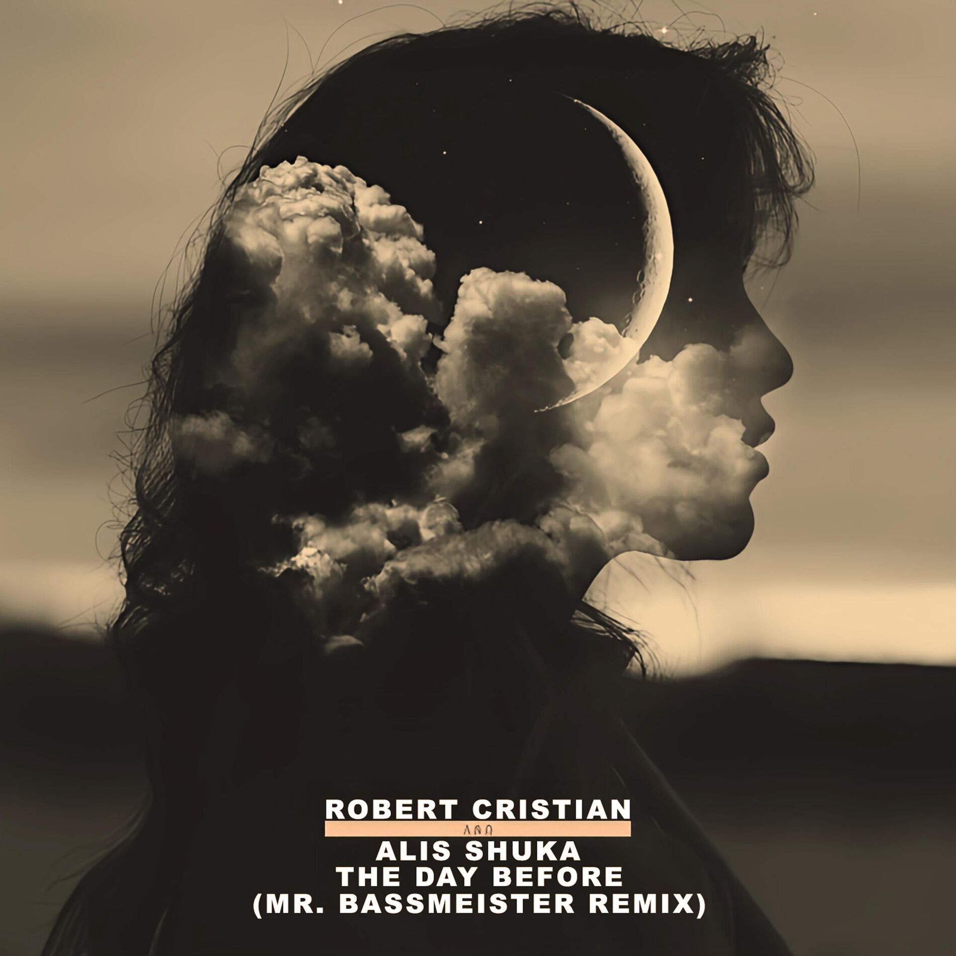 Album cover of The day before (Mr. Bassmeister Remix)