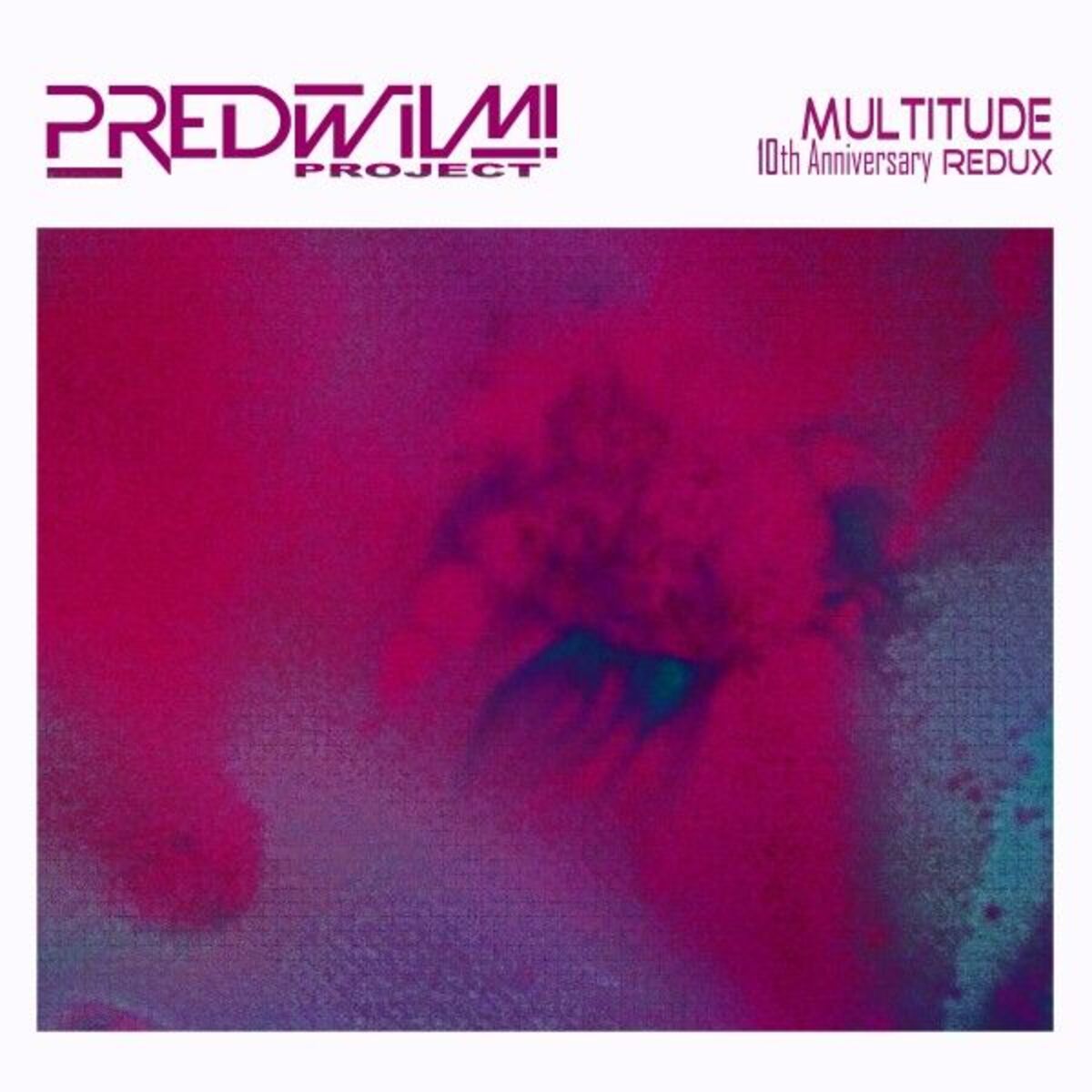Album cover of Multitude: 10th Anniversary Redux (Remastered 2025)