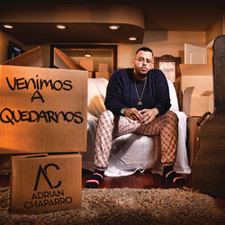 Cover of Venimos A Quedarnos