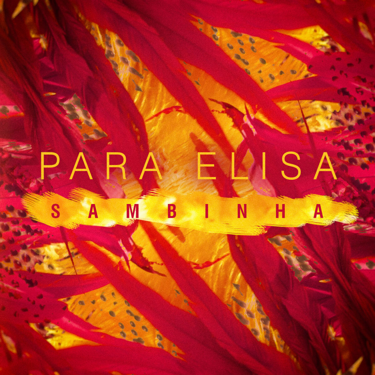 Album cover of Para Elisa (Sambinha)