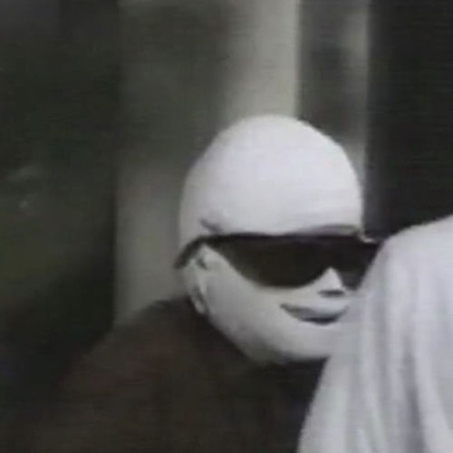 skunk boy. album cover