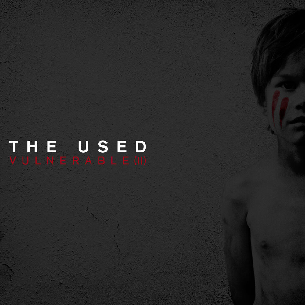 Picture of Vulnerable (II)