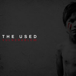 Cover of Vulnerable (II)
