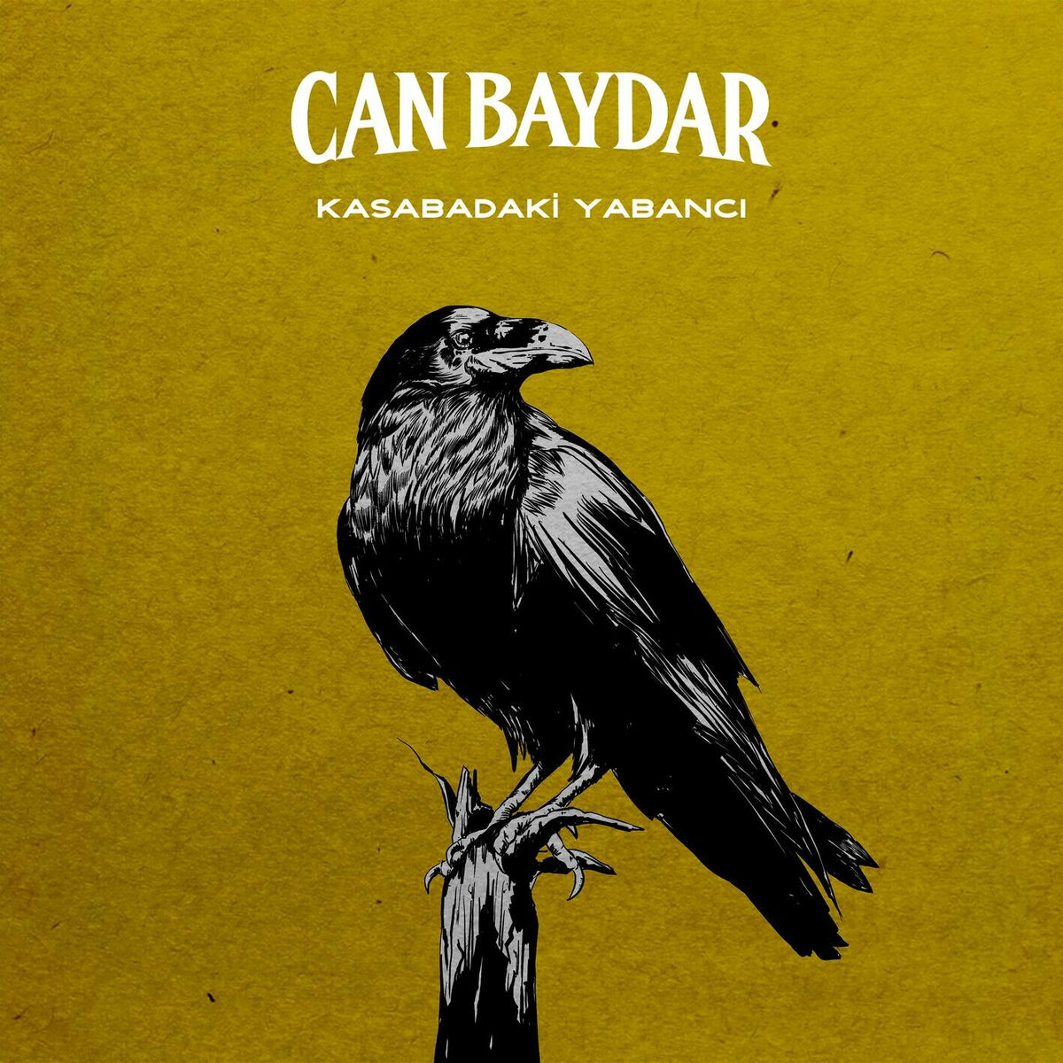 Album cover of Kasabadaki Yabancı