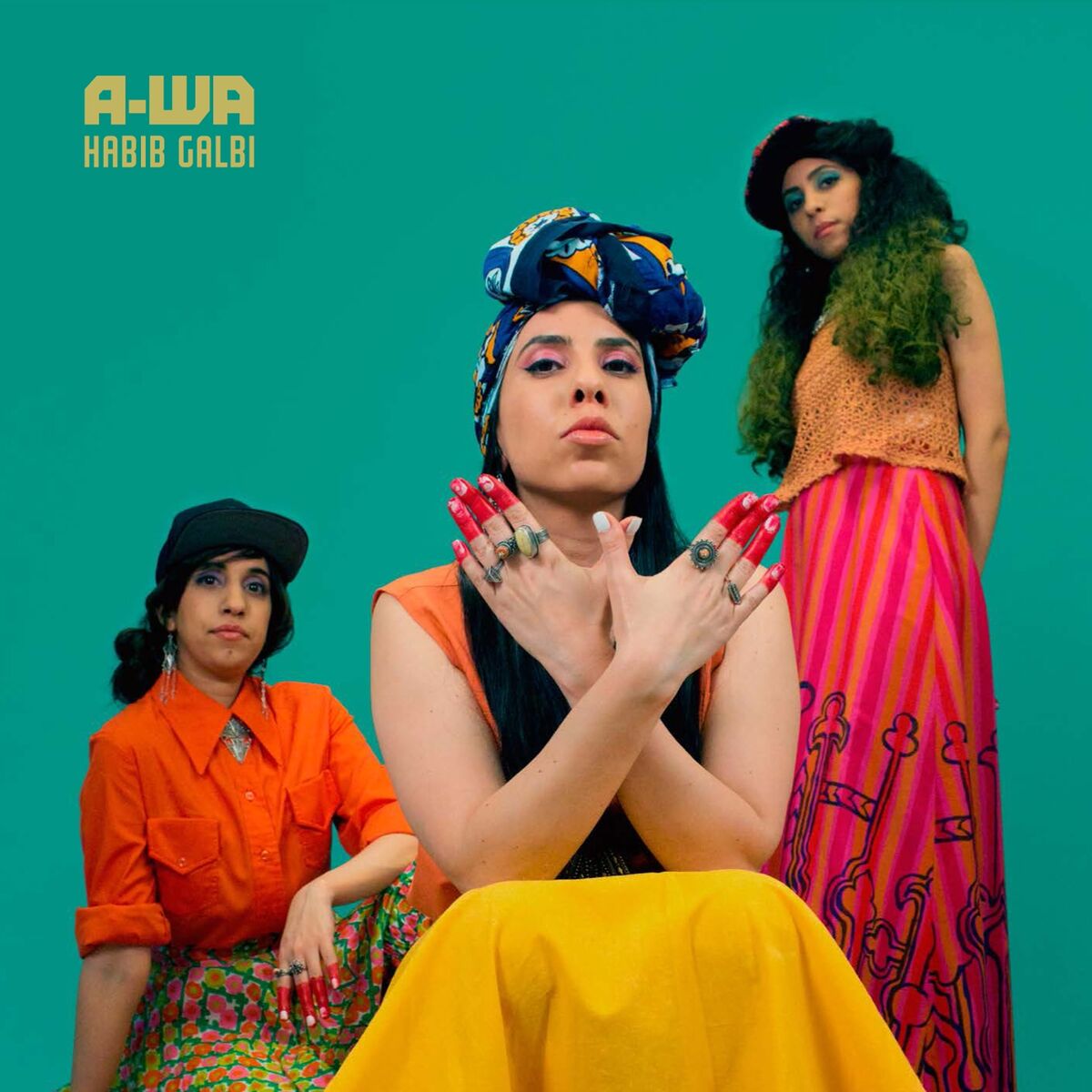 Album cover of Habib Galbi