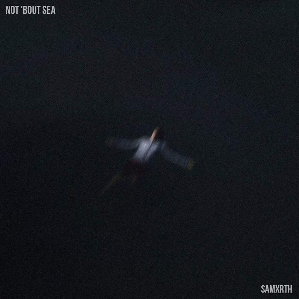 Picture of not ‘bout sea
