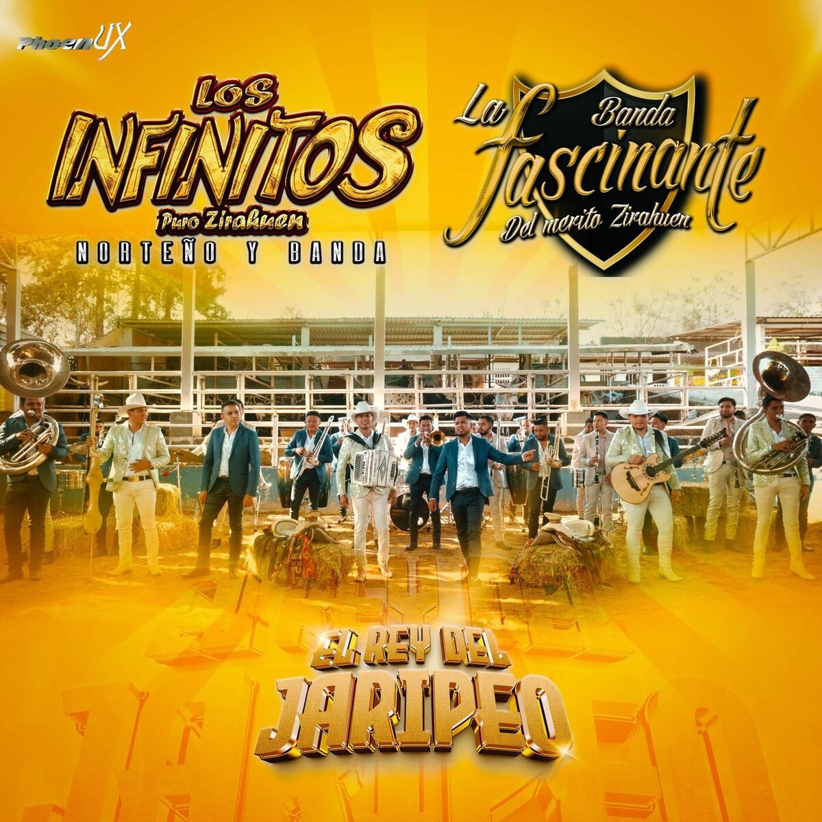 Album cover of El Rey del Jaripeo
