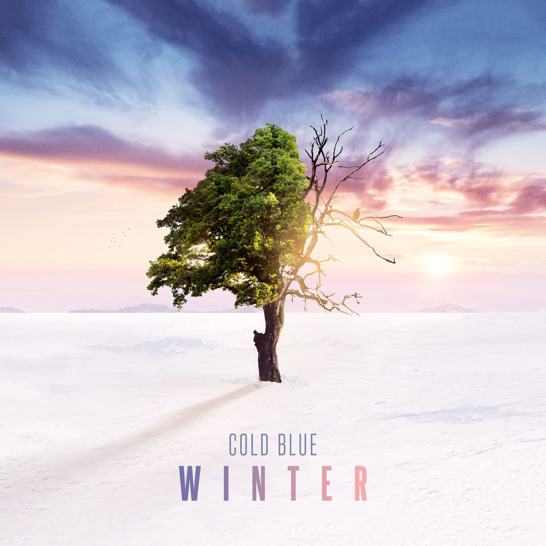 Album cover of Colors