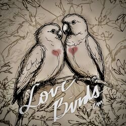 Cover of LoveBirds (fixed version)