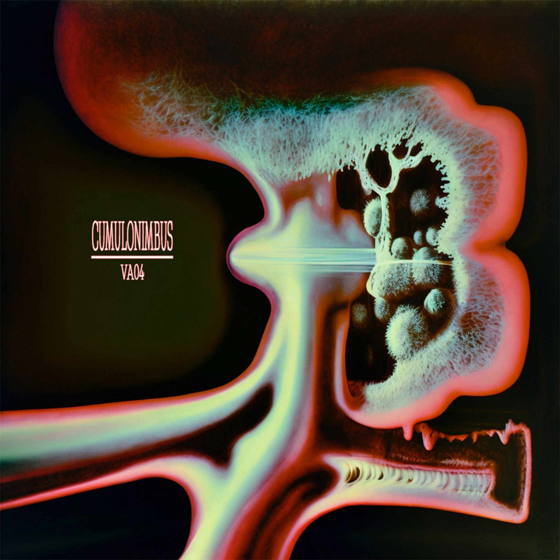 Album cover of CUMULONIMBUS VA04