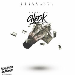 Cover of Check