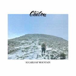 Cover of In the Meantime
