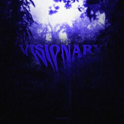 Cover of Visionary
