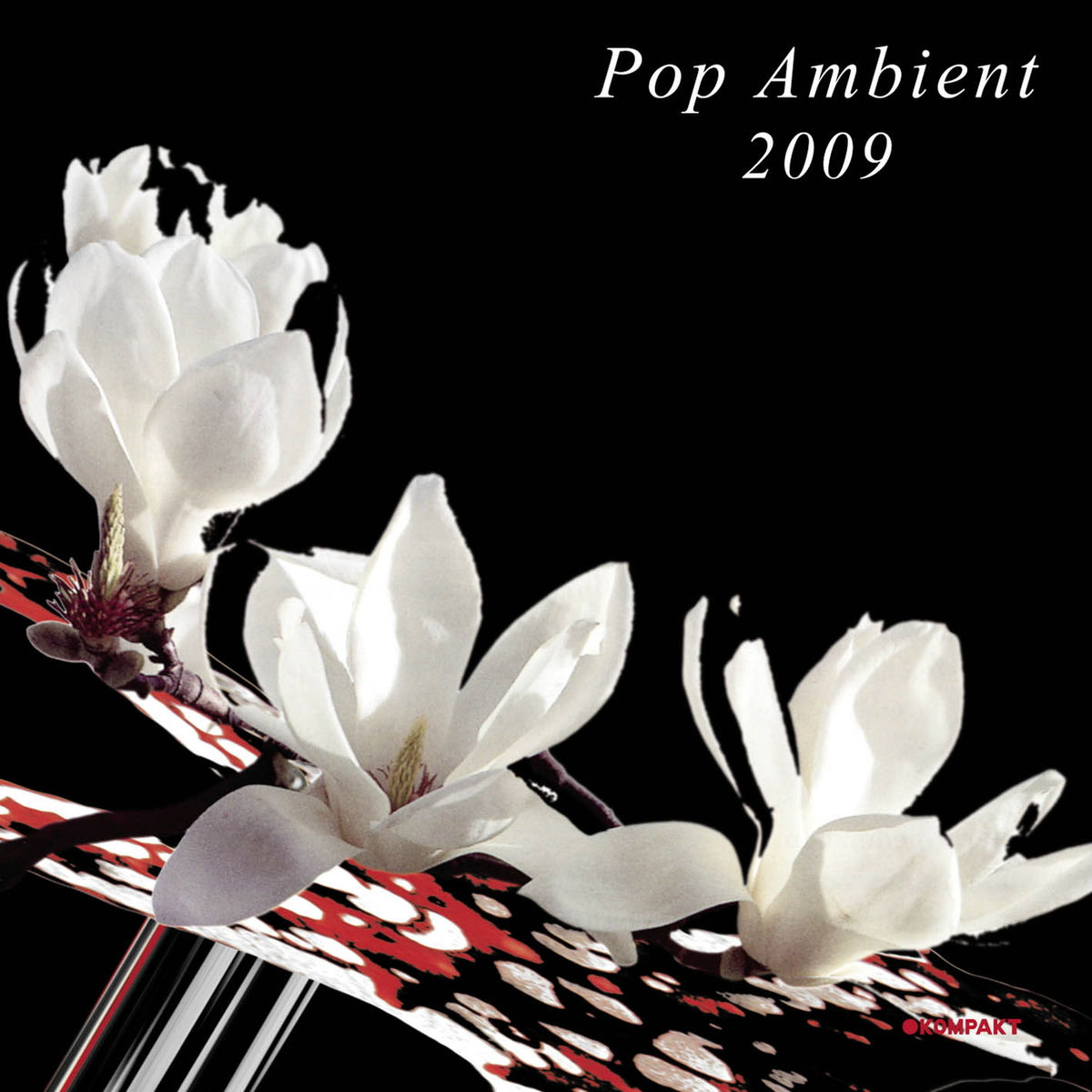 Album cover of Pop Ambient 2009