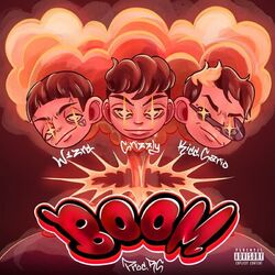 Cover of Boom
