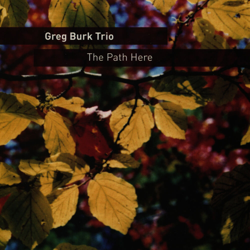 Picture of The Path Here