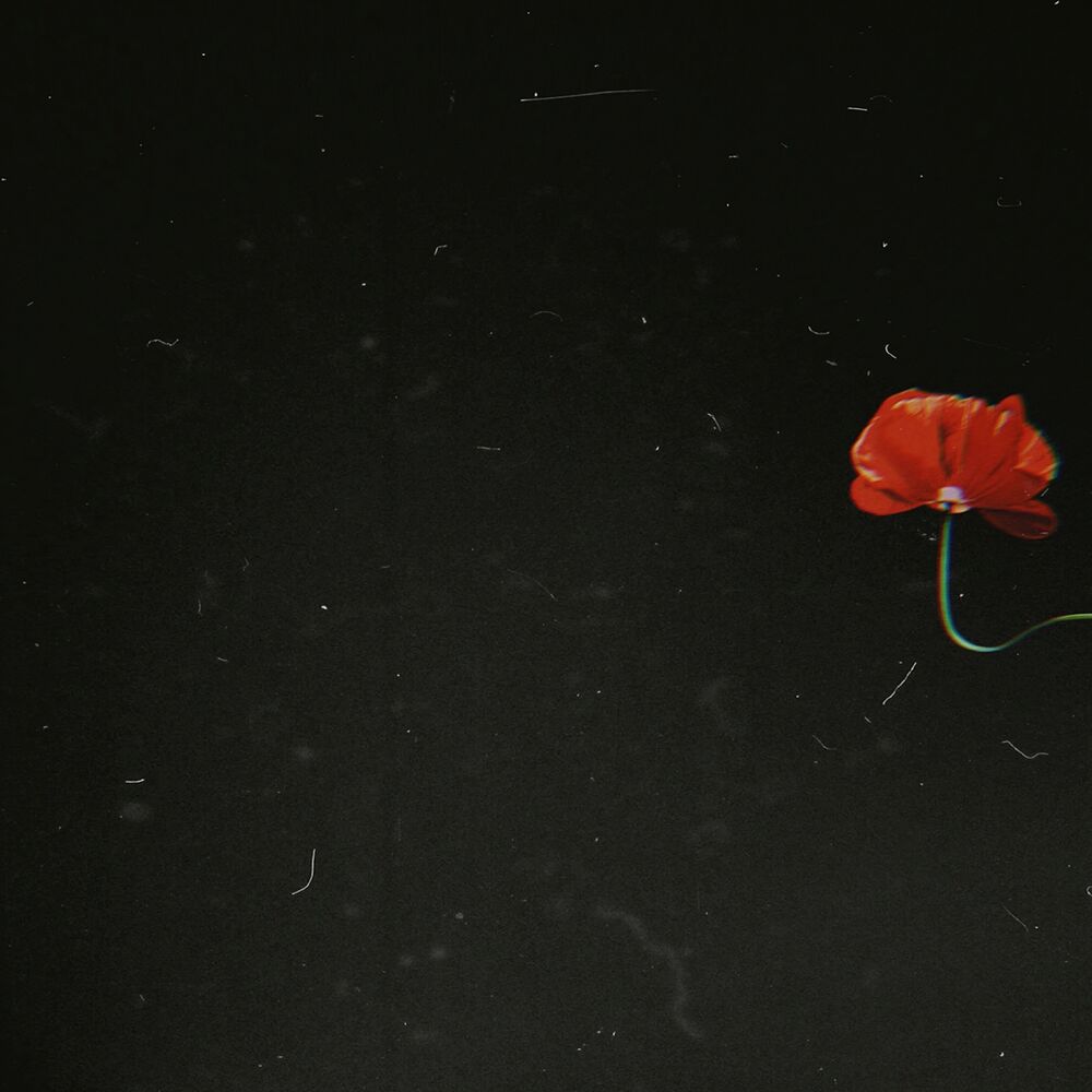 Picture of Со мной