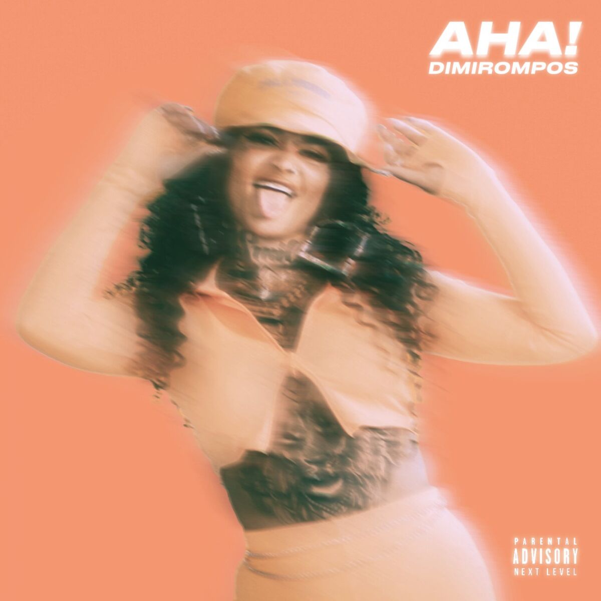 Album cover of Aha