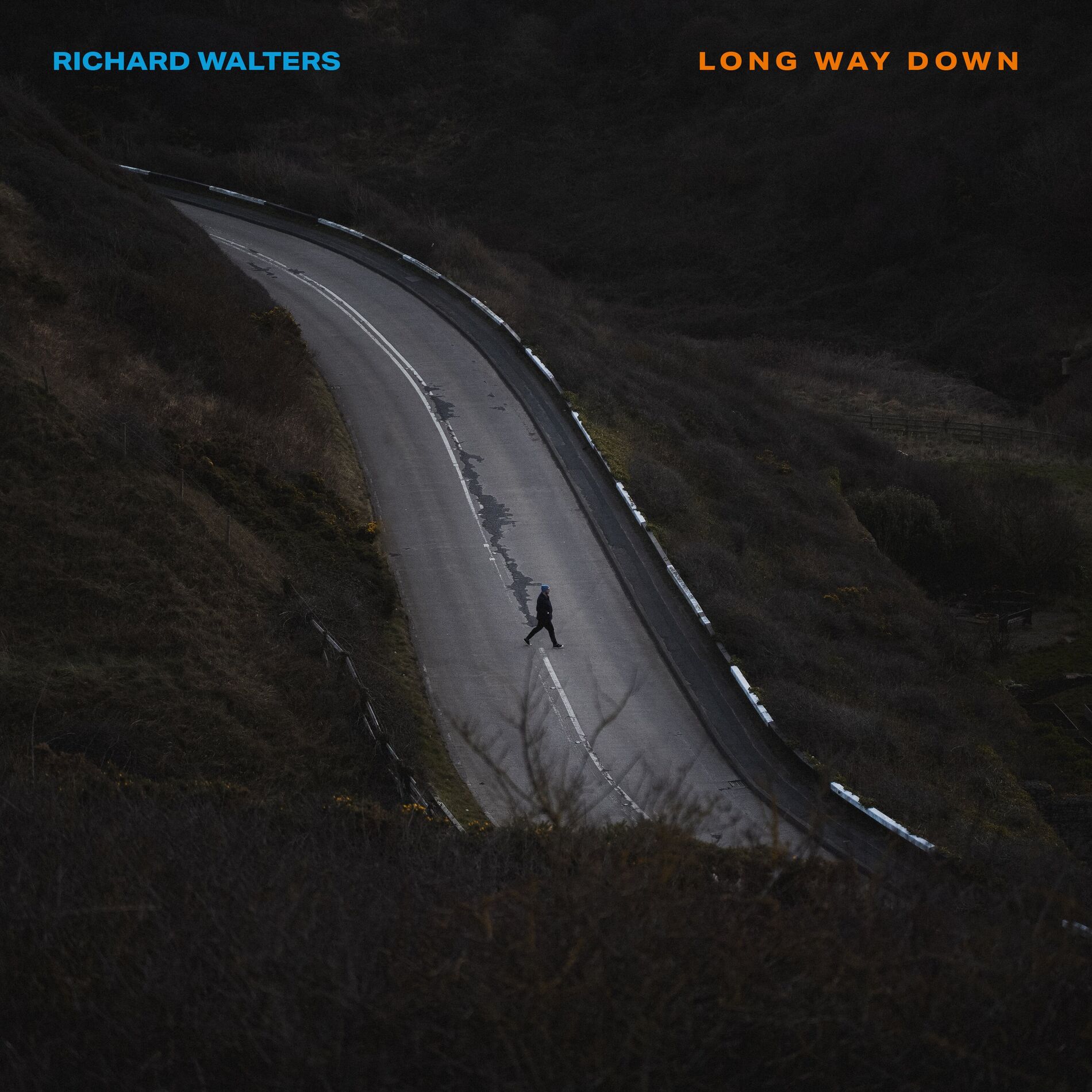 Album cover of Long Way Down