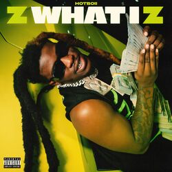 Cover of Z What I Z