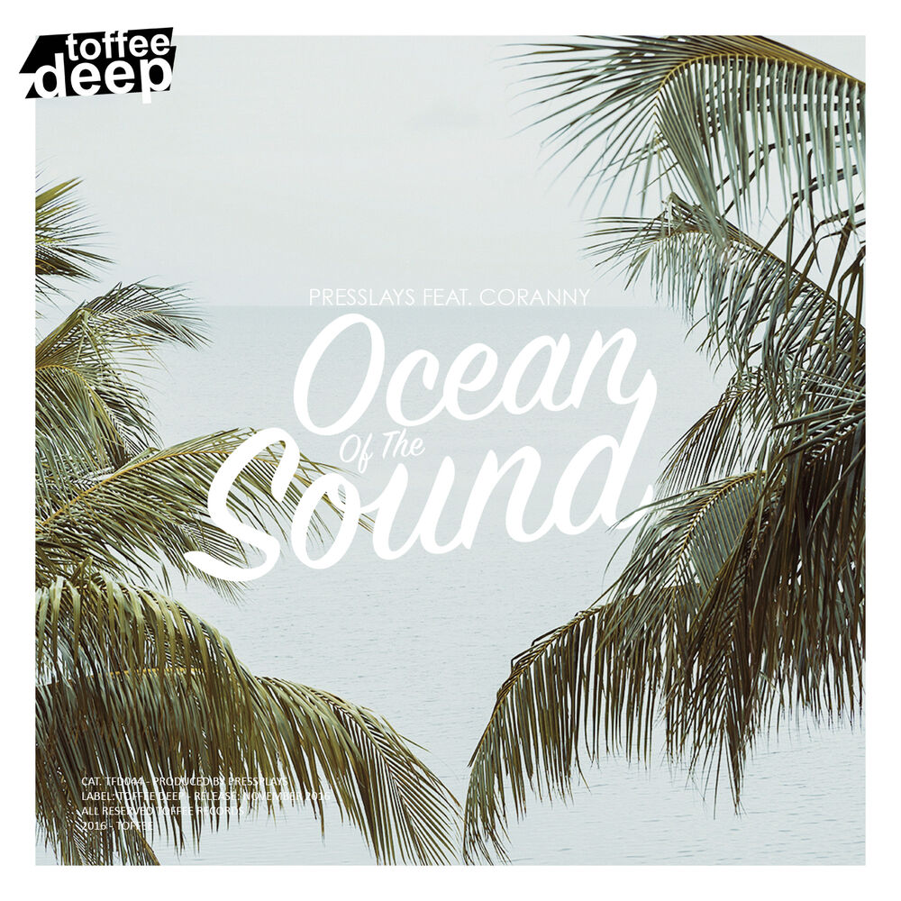 Picture of Ocean Of The Sound