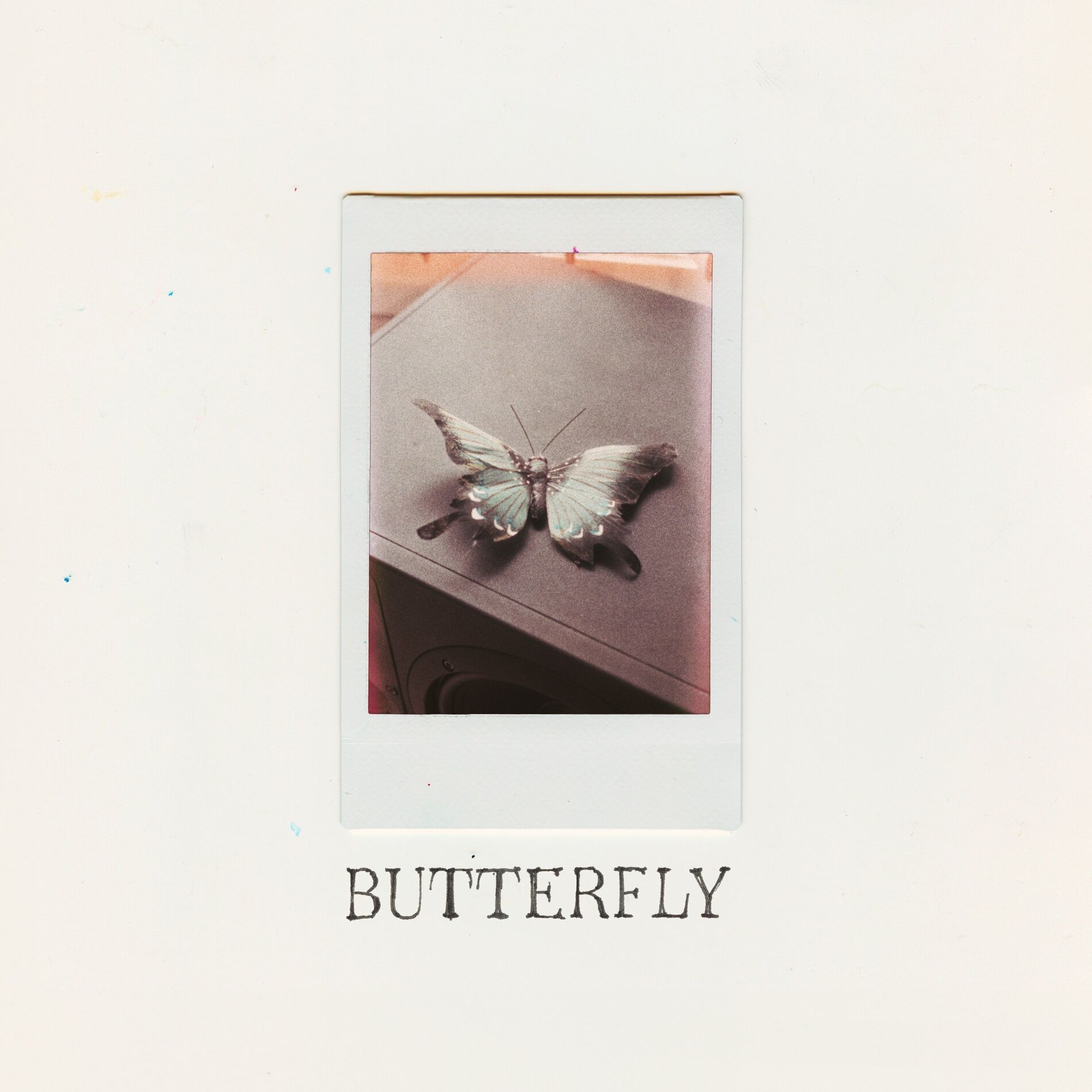 Album cover of Butterfly