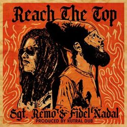 Cover of Reach the Top