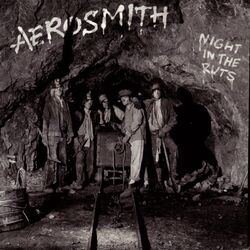 Cover of Night In The Ruts