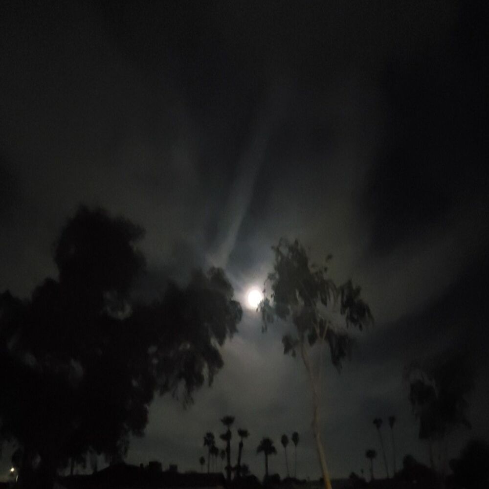 Picture of Dark Nebulas