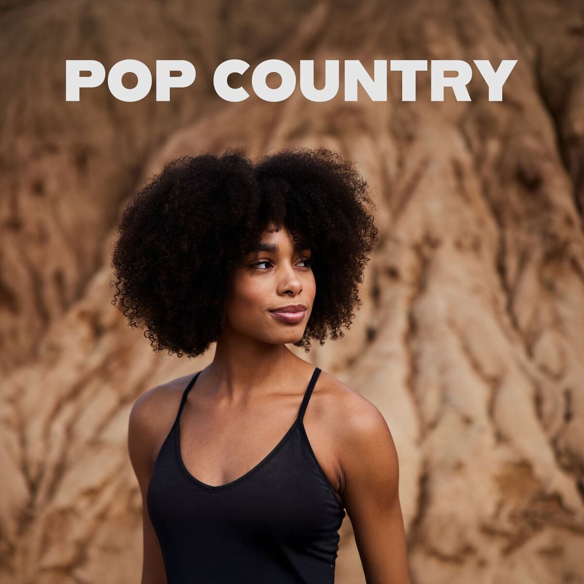 Album cover of Pop Country