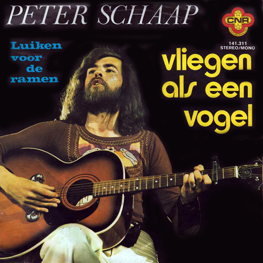 Picture of Vliegen Als Een Vogel