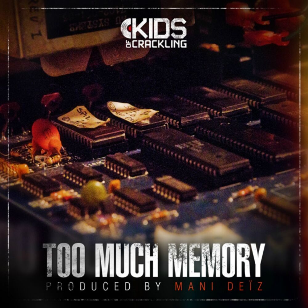 Picture of Too Much Memory