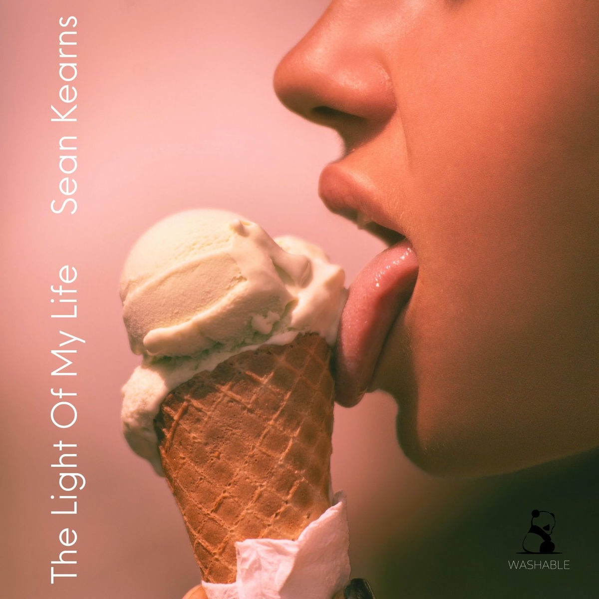 Album cover of The Light of My Life