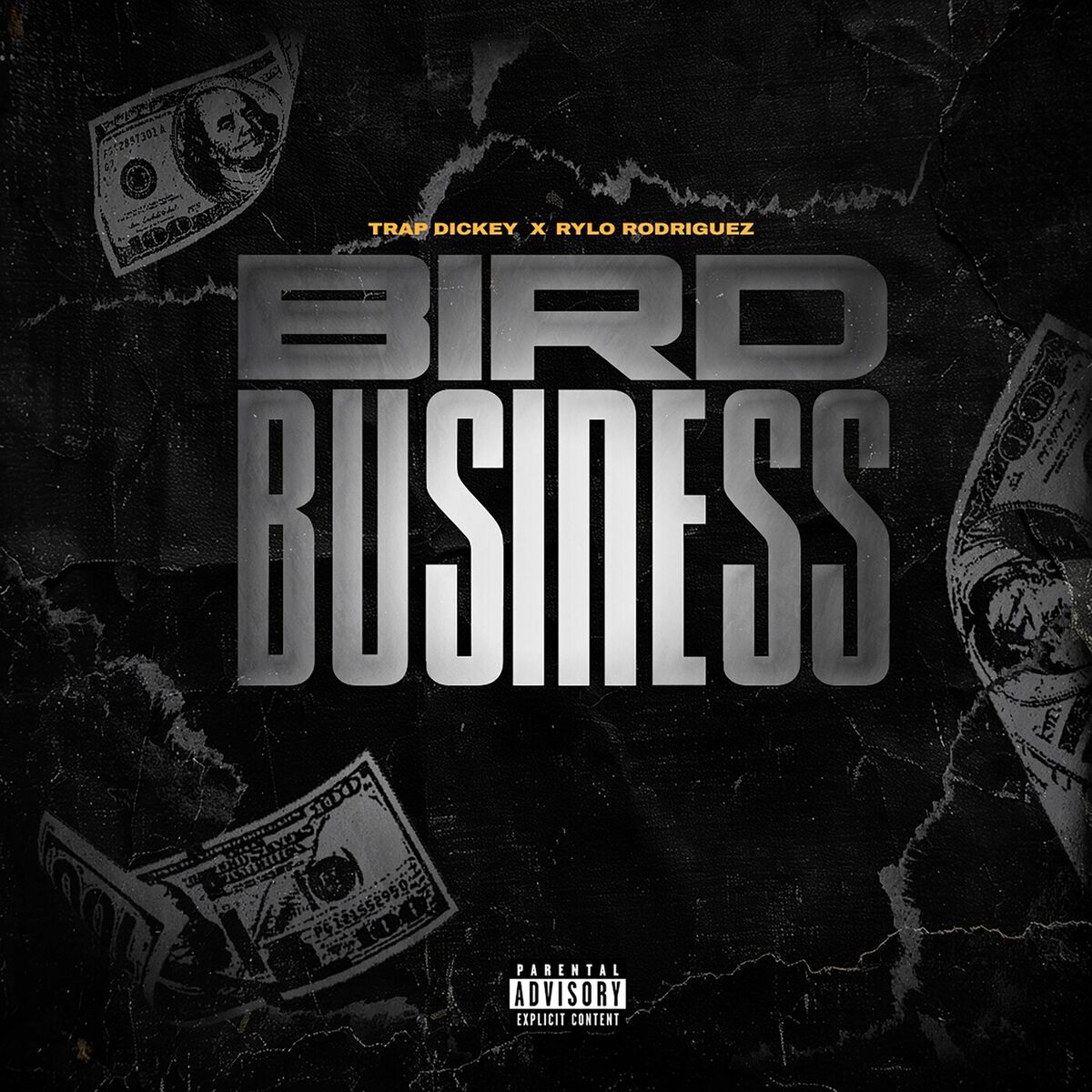 Album cover of Bird Business