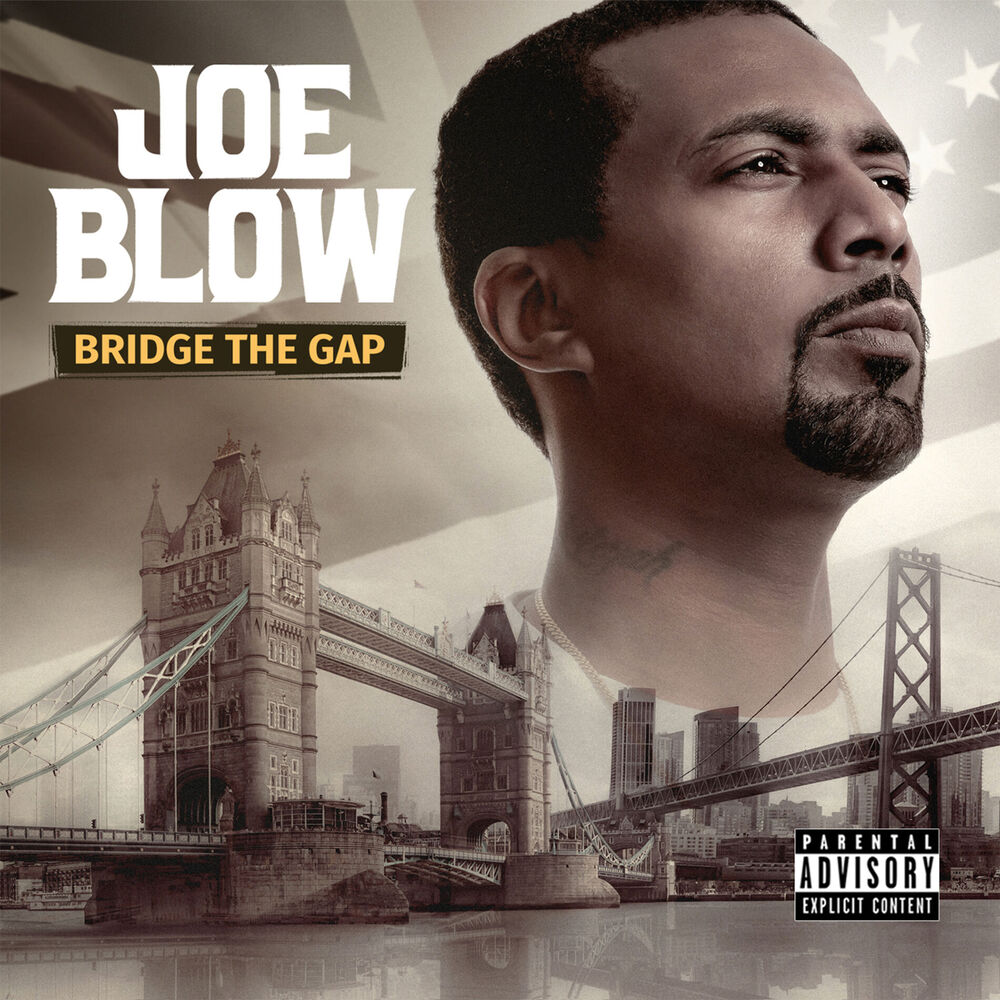 Picture of Bridge The Gap