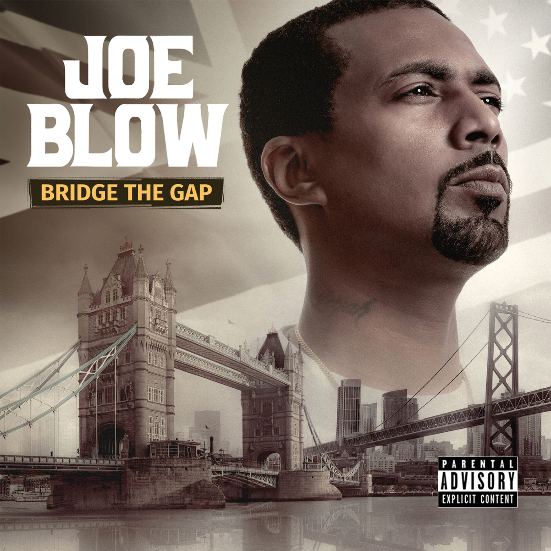Album cover of Bridge The Gap