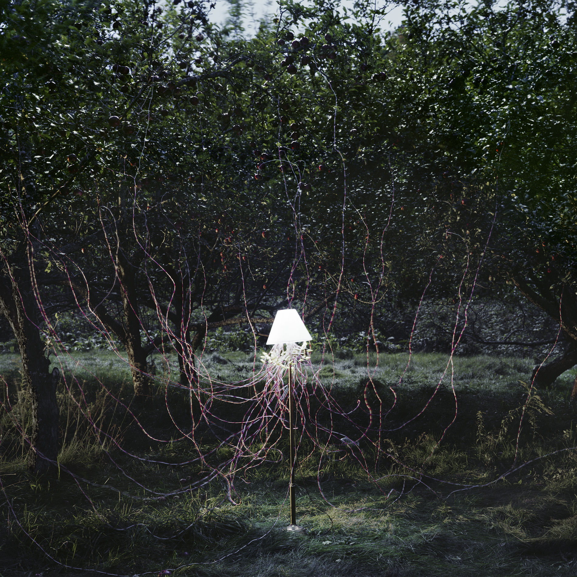 Album cover of Escapements