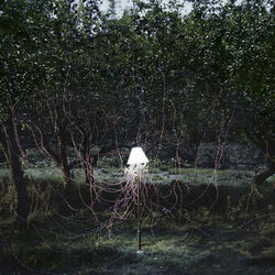 Cover of Escapements Remixes II