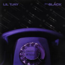 Cover of Calling My Phone