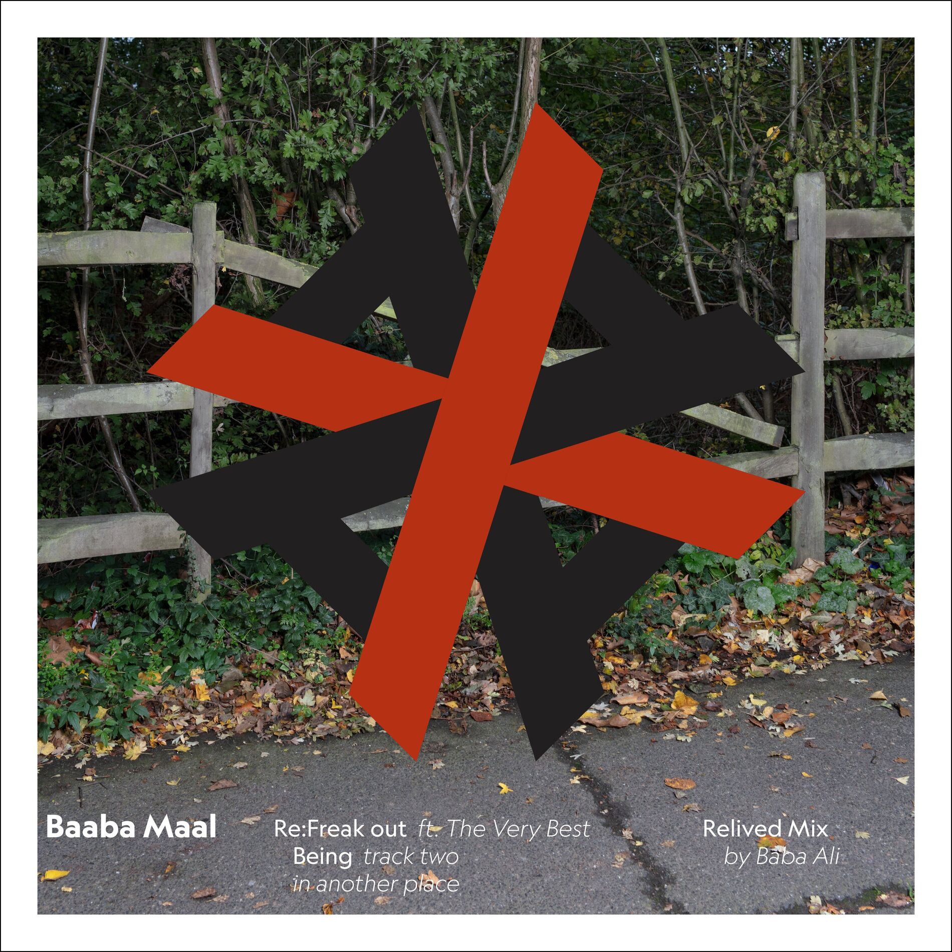 Album cover of Freak Out (Baba Ali Remix)