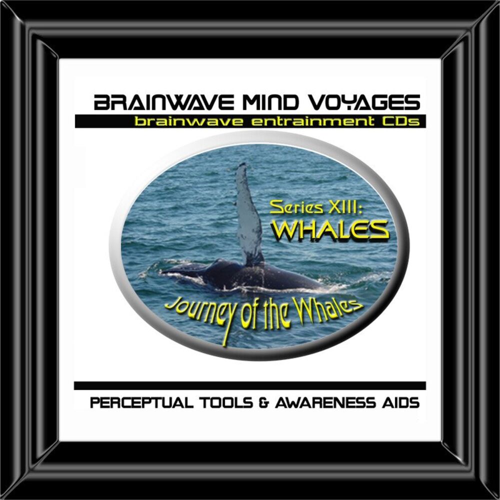 Picture of BMV Series 13 - Whales - Nature Brainwave Meditation
