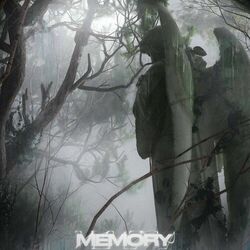 Cover of Memory