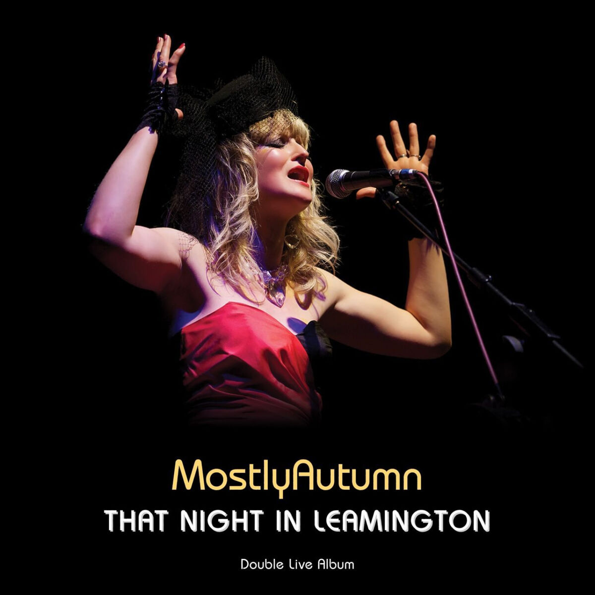 Album cover of That Night in Leamington
