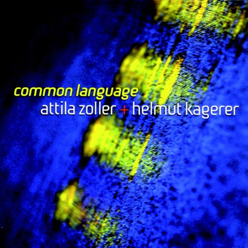 Picture of Common Language