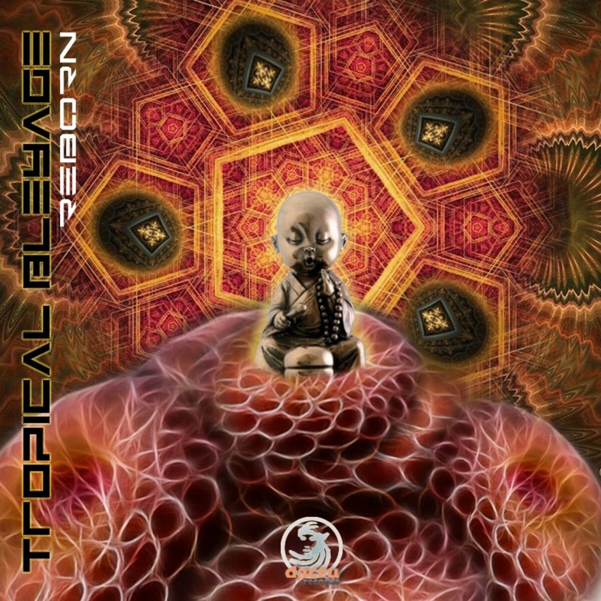 Album cover of Reborn