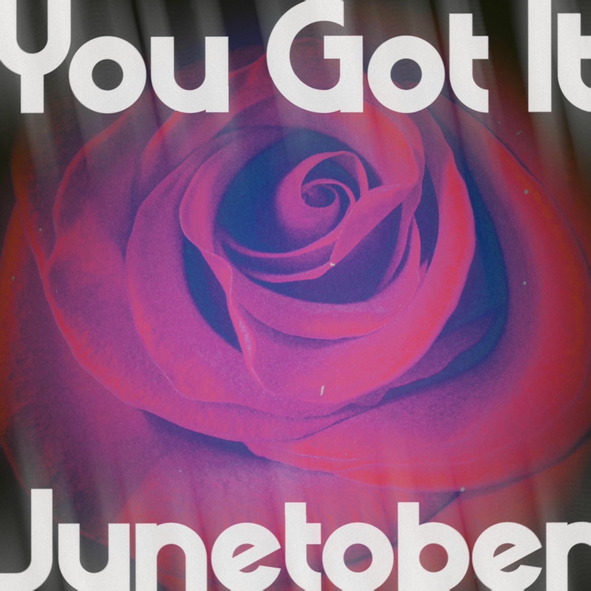 Album cover of You Got It
