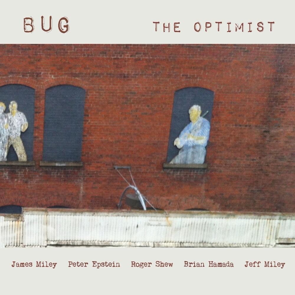 Picture of The Optimist